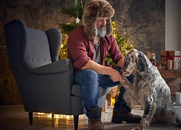 How Can You Create a Dog-friendly Garden Without Sacrificing Style?